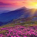 my dream is my paradise!   Cover Photos