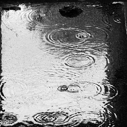 ���� �����, ����, 43 ���� - ��������� 16 ������ 2014