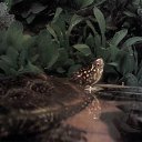 ���� ��������, ������, 63 ���� - ��������� 24 �������� 2014 � ������ ������ ��������
