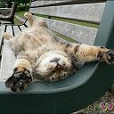  Stanislav, , 66  -  21  2014    