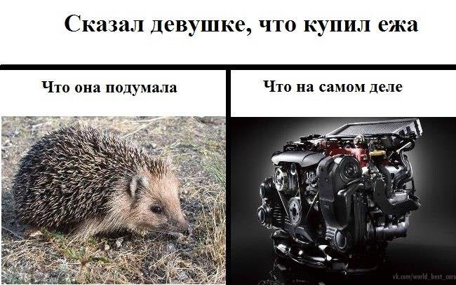   - 3  2014  08:37
