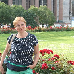  ,  , 58  -  16  2014