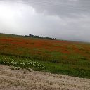  , , 63  -  3  2014    