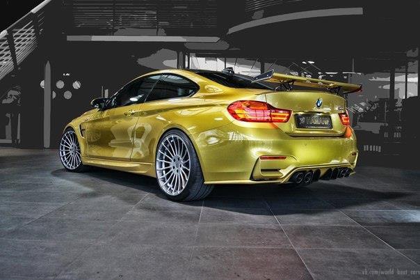 Hamann Motorsport  -  BMW M4 - 2