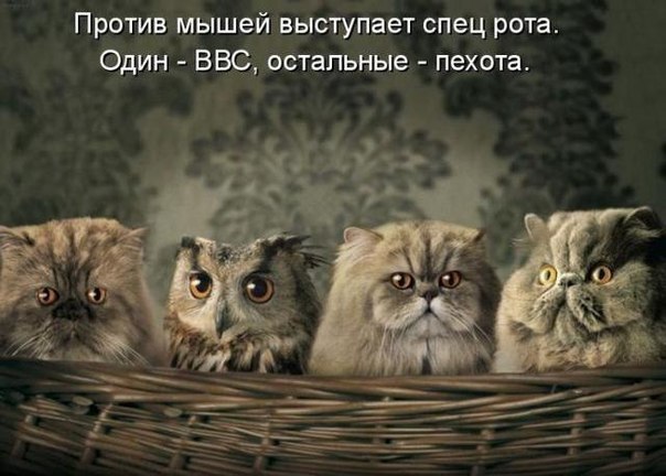       - 7  2014  06:04