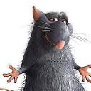 ���� �����, �������� - ��������� 31 ������� 2014 � ������ ������ ��������