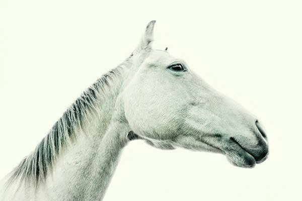 Подписывайтесь на нас:;-).http://fotostrana.ru/public/233467 Фрагмент из фотосессии Cowboys, ... - 7