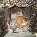 ���� ������, ������, 39 ��� - ��������� 15 �������� 2014 � ������ ���������� ����� ���� ����� �� 2012�