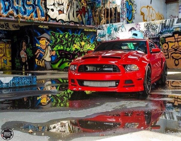 Ford Mustang - 4