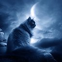 ���� �����, ����, 42 ���� - ��������� 20 ������� 2014 � ������ ���� ����������