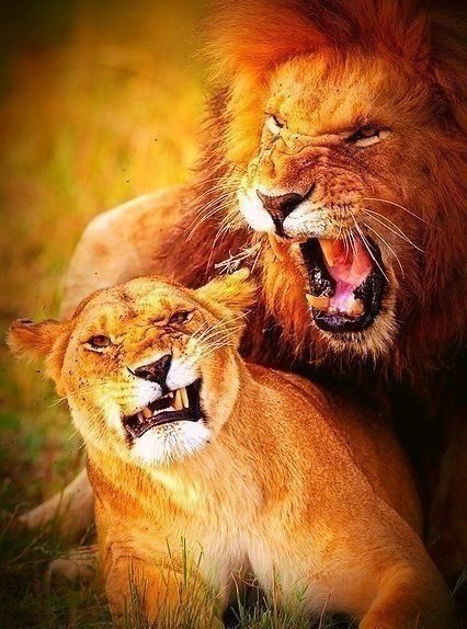 Подписывайтесь на нас: <a href=