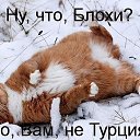 ���� �����, ���������, 48 ��� - ��������� 24 ������� 2014 � ������ ������ ��������