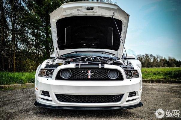 Ford Mustang Boss 302 and Mustang GT 1966. - 4