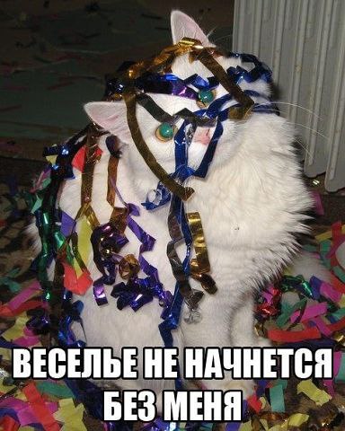  - 10  2014  10:02