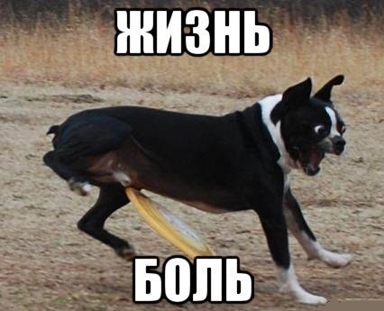  - 15  2014  19:31