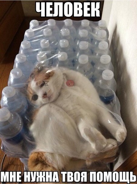    :D - 20  2014  11:22