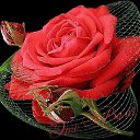  Larissa,  -  20  2014    