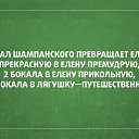  , , 51  -  31  2014   )))