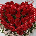  ♥ Fly ♥,  -  3  2014    