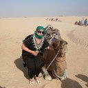 ���� �����, ������������ - ��������� 24 �������� 2014 � ������ ���� ����������