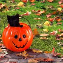  Viktoria Aleksandrina,  -  26  2014    