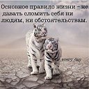  , -, 51  -  15  2014    