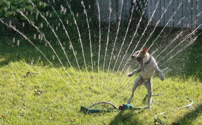  :   .           ... - 17