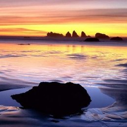 ���� Lenok, ������ - ��������� 11 ������� 2014