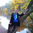 ���� �����, �����-���������, 43 ���� - ��������� 17 ������� 2014 � ������ ���� ����������