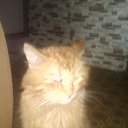 ���� ������, ������� ������, 64 ���� - ��������� 9 ������� 2014 � ������ ���� ����������