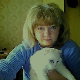 �������, ������, 60 ���