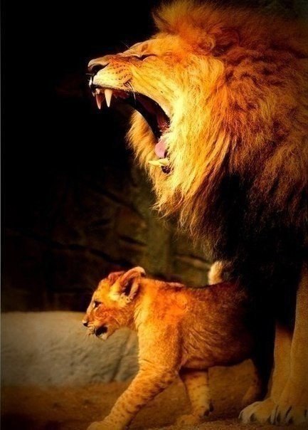 Подписывайтесь на нас: <a href=