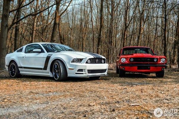 Ford Mustang Boss 302 and Mustang GT 1966.
