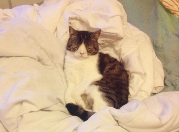 ,    ."    .      ... - 7