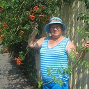 ���� �����, ��� - ��������� 13 �������� 2014 � ������ ���� ����������