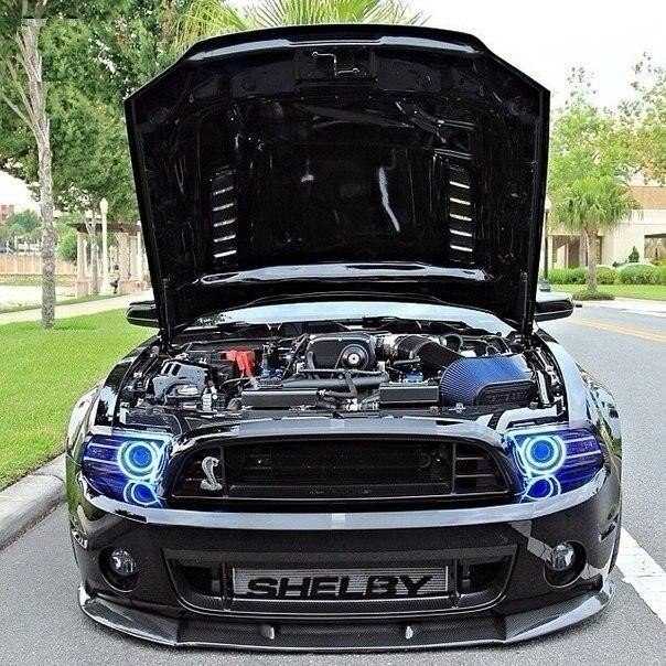 2014 Shelby GT500. - 2