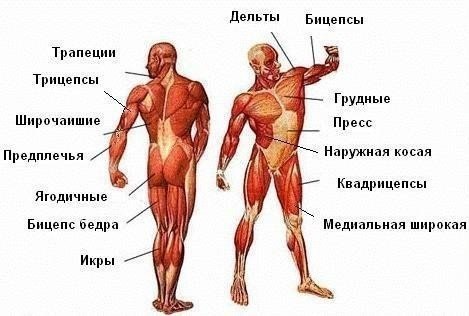 ОСНОВЫ ДЛЯ НОВИЧКОВ ИЛИ ТЕХ, КТО ВДРУГ НЕ ЗНАЕТ. Сохраните на стену, чтобы не потерять. Основные ...