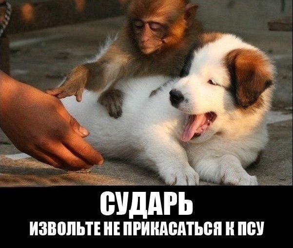    :-) - 2  2014  21:40