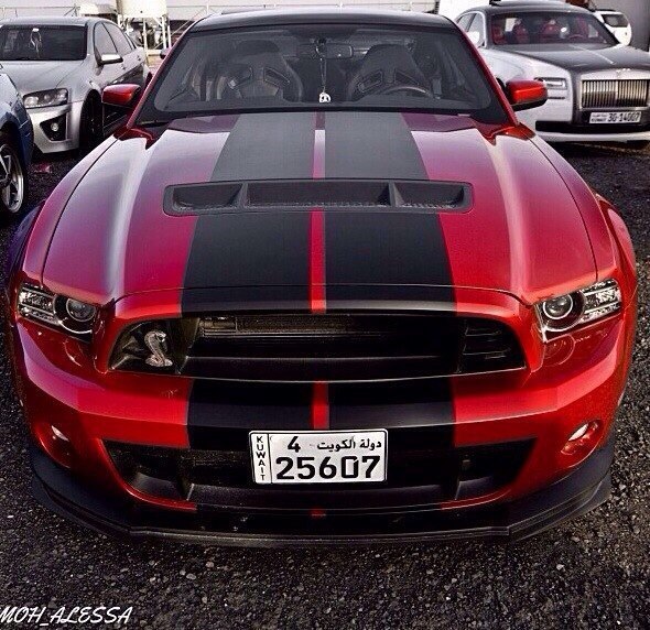 Shelby GT500. - 2