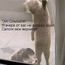 ���� �����, �����, 61 ��� - ��������� 23 ������� 2014 � ������ ������ ��������