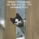 ���� ����, ���������, 46 ��� - ��������� 25 ������� 2014 � ������ ������ ��������