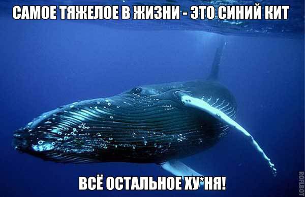    :D - 21  2014  03:15