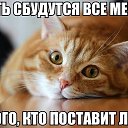  Stanislav, , 66  -  21  2014    