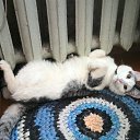 ���� ������, ������� ������, 64 ���� - ��������� 9 ������� 2014 � ������ ���� ����������