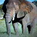 ���� ������, ������, 46 ��� - ��������� 31 ������� 2014 � ������ ���������