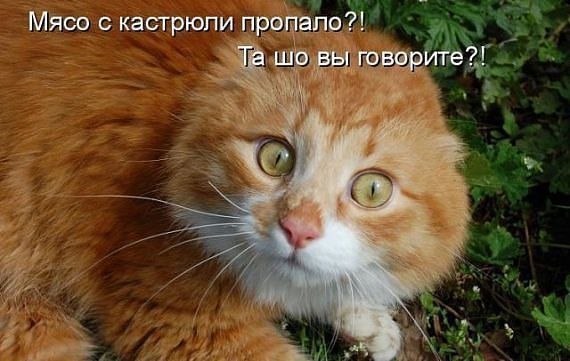   :D - 4  2014  11:04