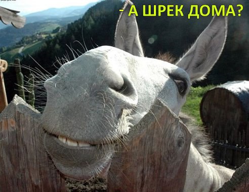    :-) - 11  2014  09:21