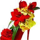 ���� �����, ������ - ��������� 17 ������� 2014 � ������ �flowers�