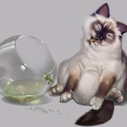 ����, ������, 53 ����