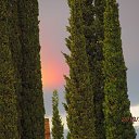 ���� �����, ������ - ��������� 1 ������� 2014 � ������ ������ ��������